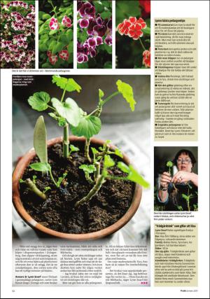 sodradalarnestidning_pralin-20170304_000_00_00_010.pdf