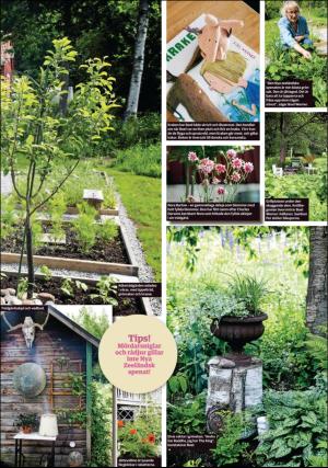 sodradalarnestidning_pralin-20170909_000_00_00_007.pdf