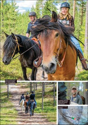 sodradalarnestidning_pralin-20170909_000_00_00_010.pdf