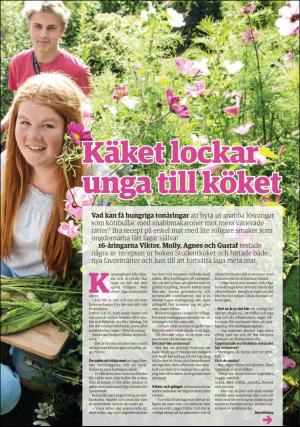 sodradalarnestidning_pralin-20170909_000_00_00_017.pdf