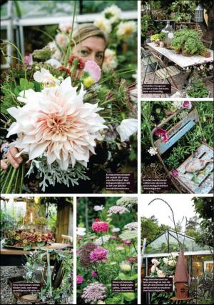 sodradalarnestidning_pralin-20170916_000_00_00_007.pdf