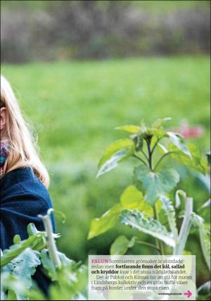 sodradalarnestidning_pralin-20171111_000_00_00_015.pdf