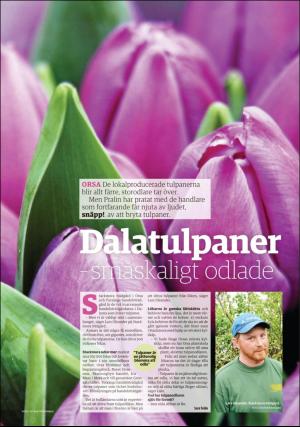 sodradalarnestidning_pralin-20180120_000_00_00_003.pdf