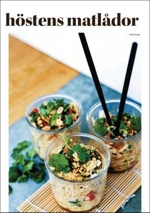 sodradalarnestidning_pralin-20180908_000_00_00_021.pdf