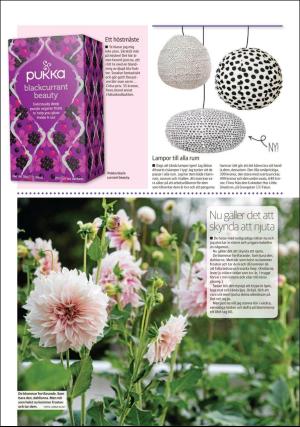 sodradalarnestidning_pralin-20180929_000_00_00_015.pdf