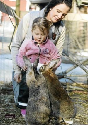 sodradalarnestidning_pralin-20190525_000_00_00_004.pdf