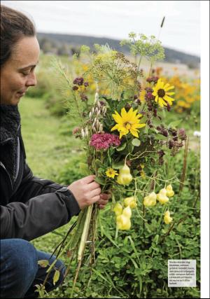 sodradalarnestidning_pralin-20191005_000_00_00_012.pdf