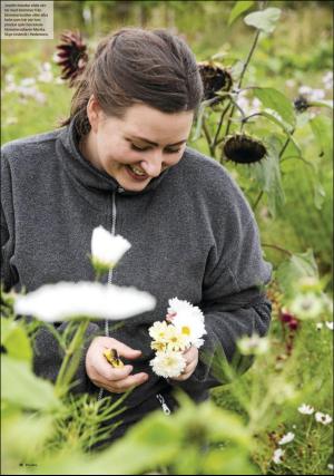 sodradalarnestidning_pralin-20191012_000_00_00_012.pdf