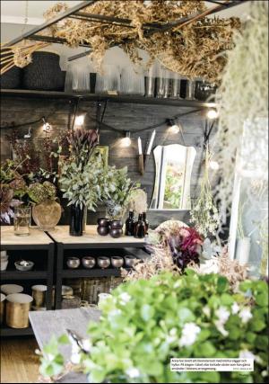 sodradalarnestidning_pralin-20191019_000_00_00_015.pdf