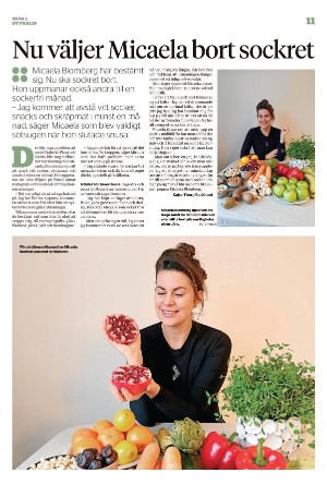 sodradalarnestidning_pralin-20220122_000_00_00_011.pdf