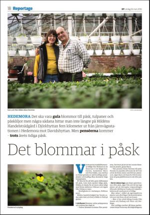 sodradalarnestidning_seksjon-20160326_000_00_00_018.pdf