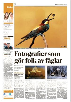 sodradalarnestidning_seksjon-20170923_000_00_00_012.pdf