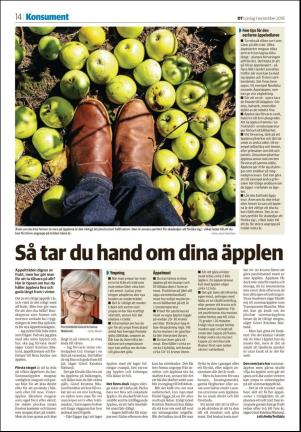 sodradalarnestidning_seksjon-20180901_000_00_00_014.pdf