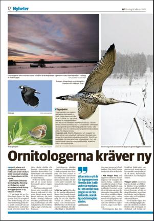 sodradalarnestidning_seksjon-20190214_000_00_00_012.pdf