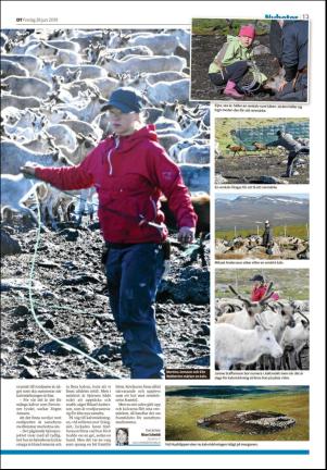 sodradalarnestidning_seksjon-20190628_000_00_00_013.pdf