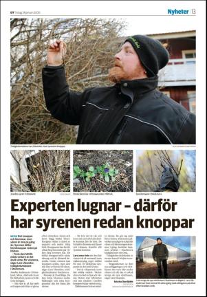 sodradalarnestidning_seksjon-20200128_000_00_00_013.pdf