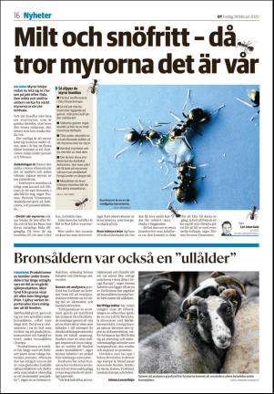 sodradalarnestidning_seksjon-20200228_000_00_00_016.pdf