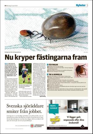 sodradalarnestidning_seksjon-20200427_000_00_00_005.pdf