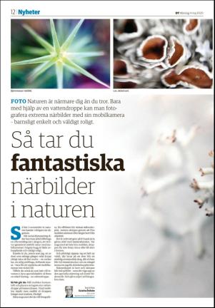 sodradalarnestidning_seksjon-20200504_000_00_00_012.pdf