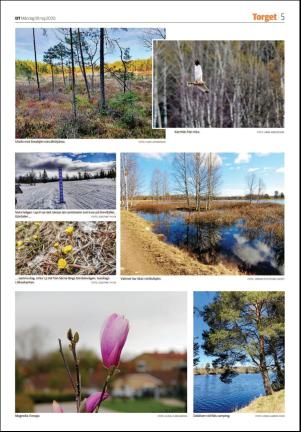 sodradalarnestidning_seksjon-20200518_000_00_00_005.pdf