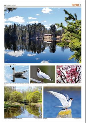 sodradalarnestidning_seksjon-20200520_000_00_00_005.pdf