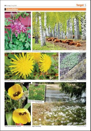 sodradalarnestidning_seksjon-20200527_000_00_00_005.pdf