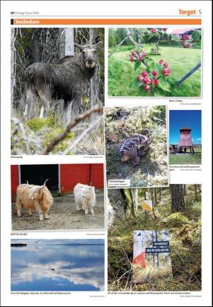 sodradalarnestidning_seksjon-20200610_000_00_00_005.pdf