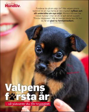 sondag-20170101_000_00_00_056.pdf