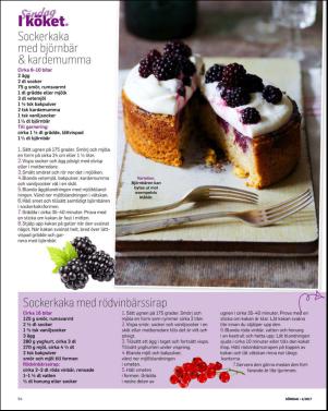 sondag-20170129_000_00_00_064.pdf