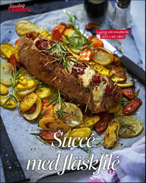 sondag-20170219_000_00_00_060.pdf