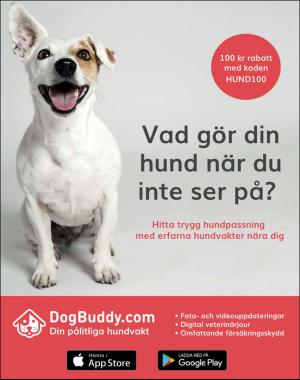 sondag-20170319_000_00_00_034.pdf