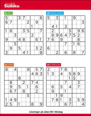 sondag-20170319_000_00_00_053.pdf