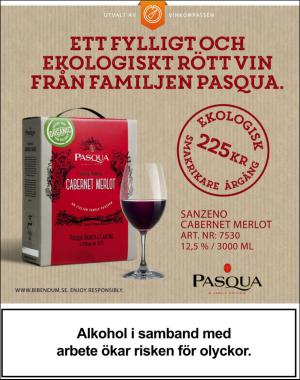 sondag-20170409_000_00_00_002.pdf