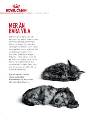 sondag-20170416_000_00_00_022.pdf