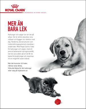 sondag-20170430_000_00_00_061.pdf