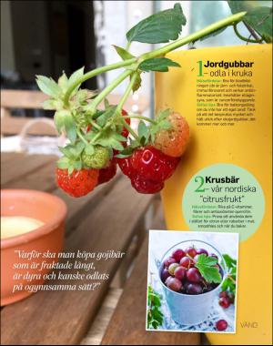 sondag-20170514_000_00_00_027.pdf