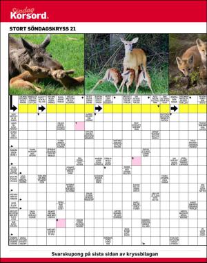 sondag-20170528_000_00_00_050.pdf