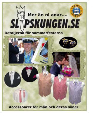 sondag-20170528_000_00_00_072.pdf