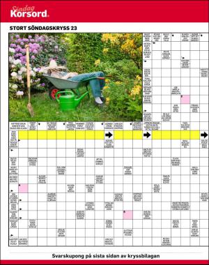 sondag-20170611_000_00_00_050.pdf