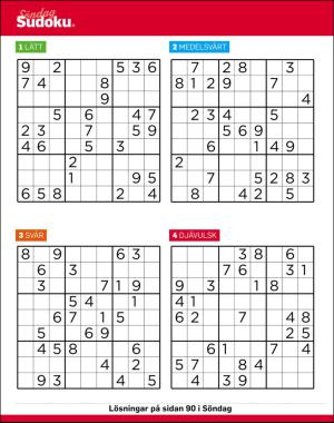 sondag-20170611_000_00_00_056.pdf