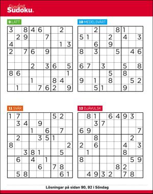 sondag-20170611_000_00_00_059.pdf