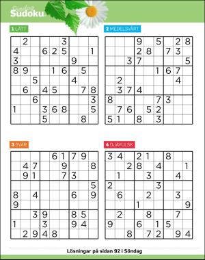 sondag-20170702_000_00_00_056.pdf