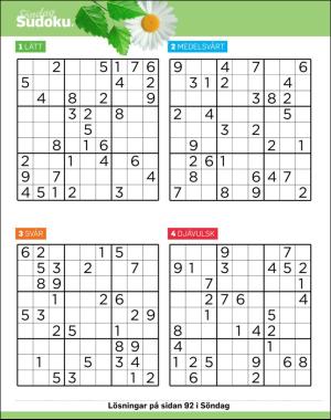 sondag-20170730_000_00_00_056.pdf