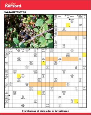 sondag-20170903_000_00_00_046.pdf