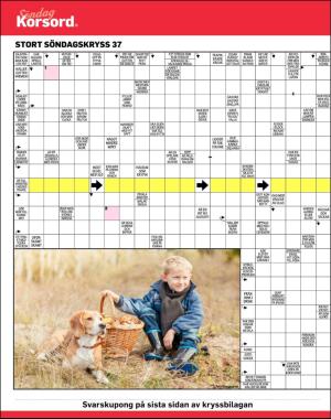 sondag-20170917_000_00_00_050.pdf