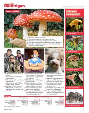 sondag-20171001_000_00_00_089.pdf