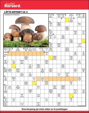 sondag-20171029_000_00_00_054.pdf