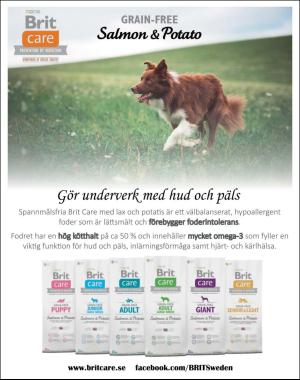 sondag-20171105_000_00_00_009.pdf