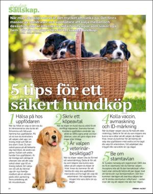 sondag-20171105_000_00_00_064.pdf