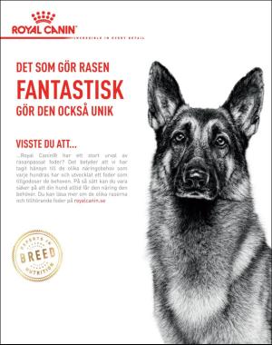 sondag-20171105_000_00_00_065.pdf